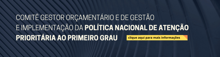 Slide | Comitê Gestor Orçamentário