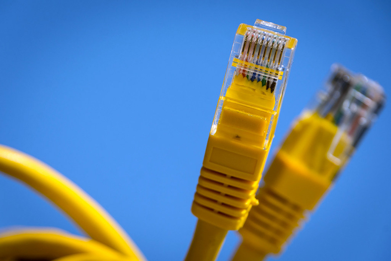 Dois cabos de internet amarelos sobre um fundo azul.