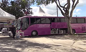 2 semana just paz casa F 280