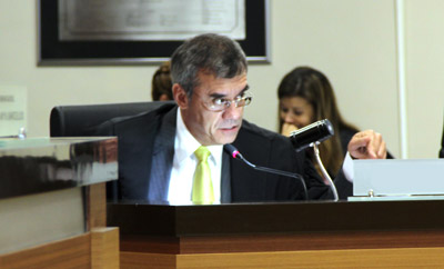 Des Fernando Bravin 400