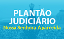 Plantao nossa senhora aparecida 130