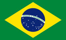 Bandeira do brasil 130