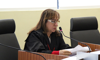 herminia 400 copiar