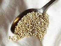 03-quinoa