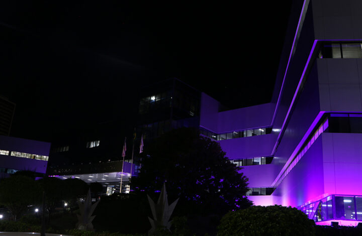 Palácio da Justiça do Espírito Santo recebe iluminação roxa neste mês de maio