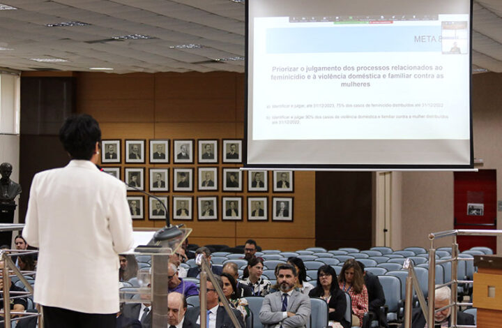 TJES realiza audiência pública sobre as Metas Nacionais do Poder Judiciário para 2025