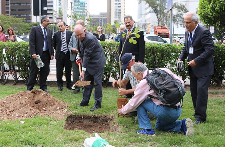 TJES realiza plantio de Ipês em homenagem ao Dia Nacional da Árvore