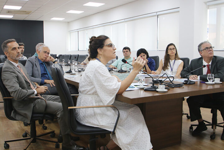 Comitê Orçamentário e de Atenção ao Primeiro Grau realiza reunião de planejamento para 2025