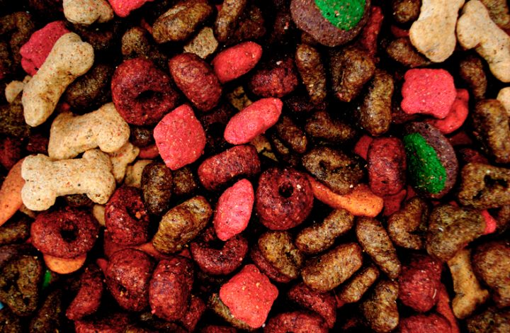 Cãozinho morto por intoxicação alimentar leva fabricante de ração a indenizar família em R$ 12 mil