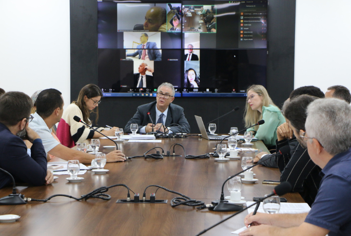 Pessoas em reunião