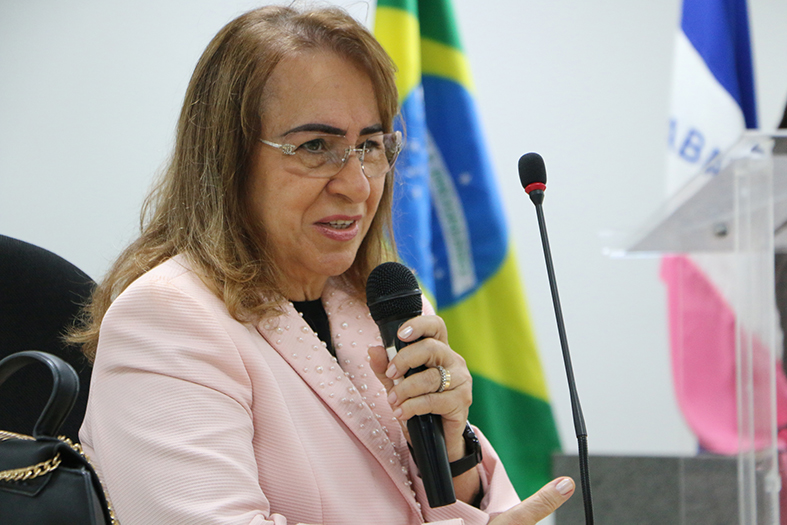 A Coordenadora Estadual de Enfrentamento à Violência Doméstica e Familiar do TJES juíza Hermínia Maria Silveira Azoury.