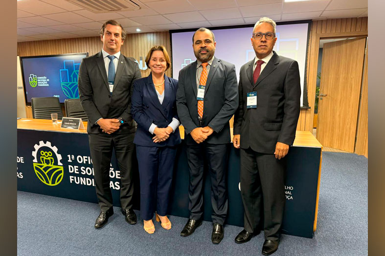 Membros da Comissão de Soluções Fundiárias do TJES posam para foto.