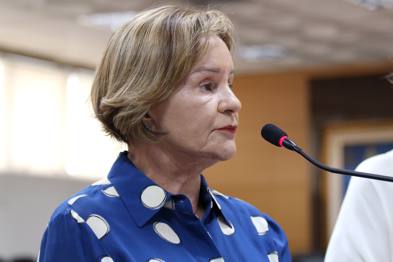 A desembargadora Janete Vargas Simões, supervisora do Núcleo Permanente de Métodos Consensuais de Solução de Conflitos (Nupemec).