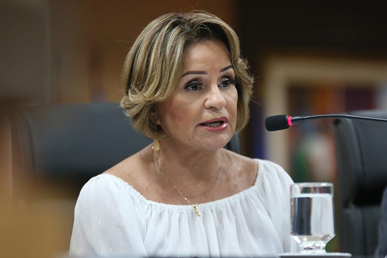 A supervisora do Núcleo Permanente de Métodos Consensuais de Solução de Conflitos do TJES (Nupemec), desembargadora Janete Vargas Simões.