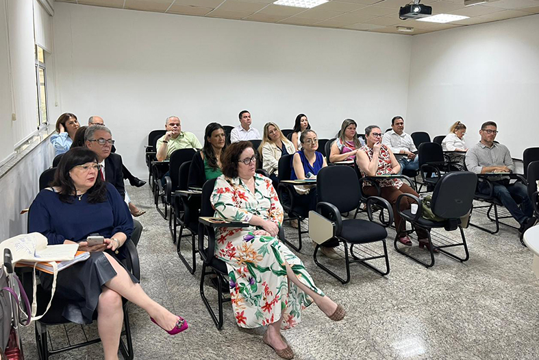 Técnicos do NatJus assistem oficina pela equipe do Hospital Sírio Libanês.
