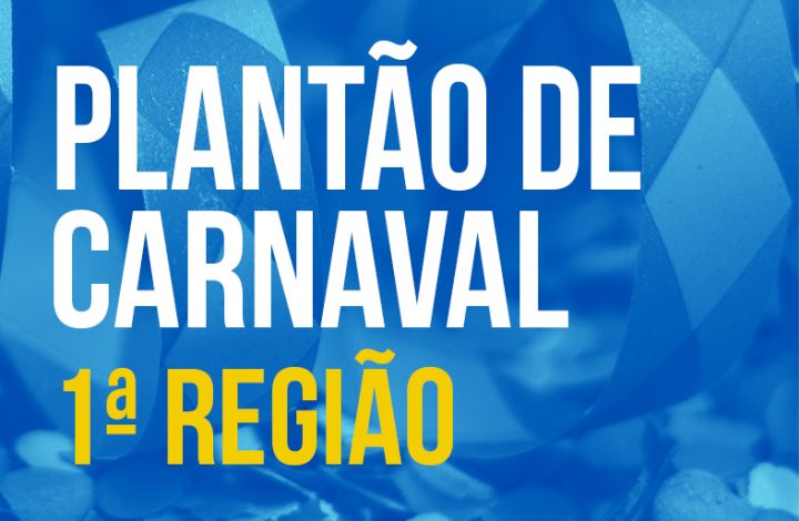 Plantão da 1ª Região registra 81 ocorrências durante o feriado de Carnaval