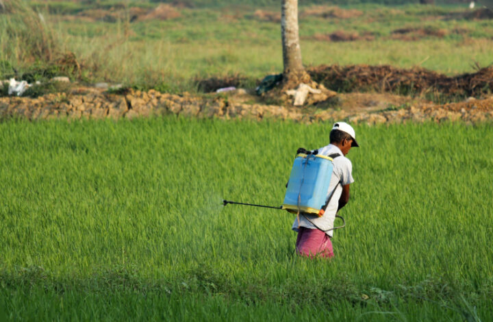 Morador de Nova Venécia deve ser indenizado por problemas de saúde causados por defensivos agrícolas