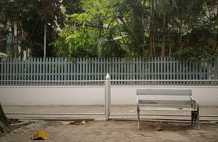 Adolescente atingido por galho de árvore deve ser indenizado após sofrer lesões corporais