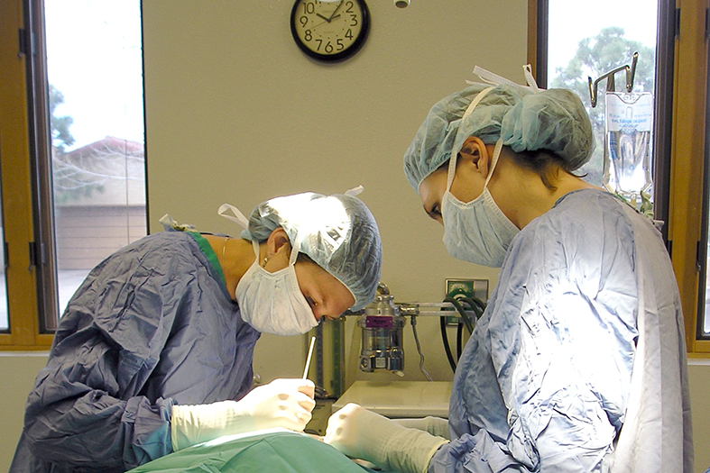 Duas cirurgiãs operando.