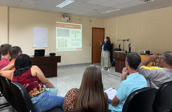 Central de Apoio Multidisciplinar de Serra realizou curso de preparação para adoção na Comarca de Ibiraçu