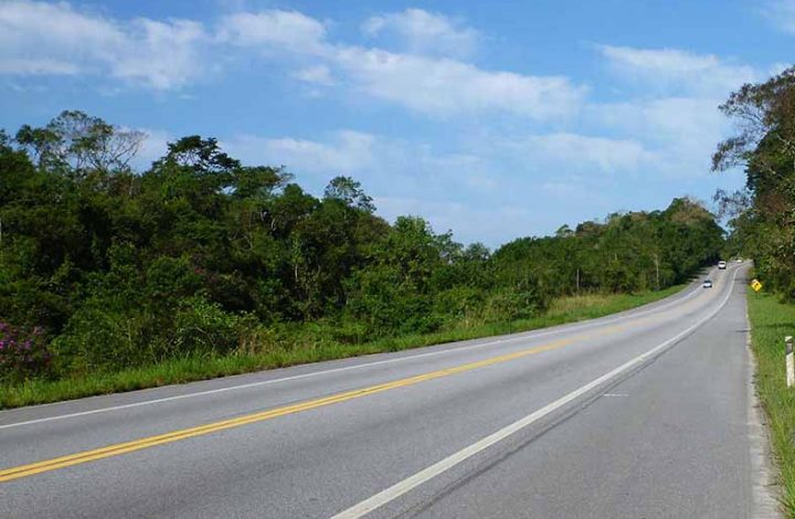 TJES confirma sentença contra ECO 101 por acidente causado por animal na pista