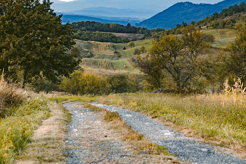 Paisagem rural com estrada de chão em primeiro plano.