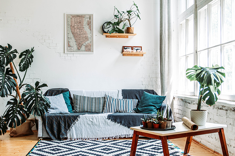 sala de estar com decorações diversas, plantas ornamentais e sofá de 3 lugares.