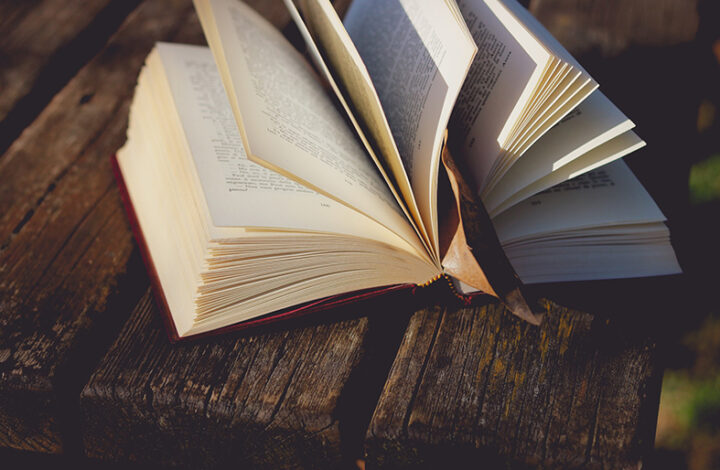 Magistrados do Espírito Santo recebem menção honrosa em prêmio de literatura da AMB