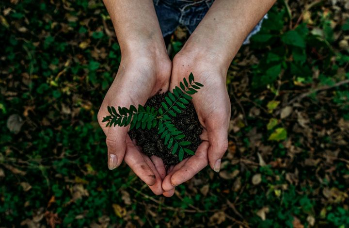 Poder Judiciário capixaba institui Núcleo de Justiça para processos de Meio Ambiente