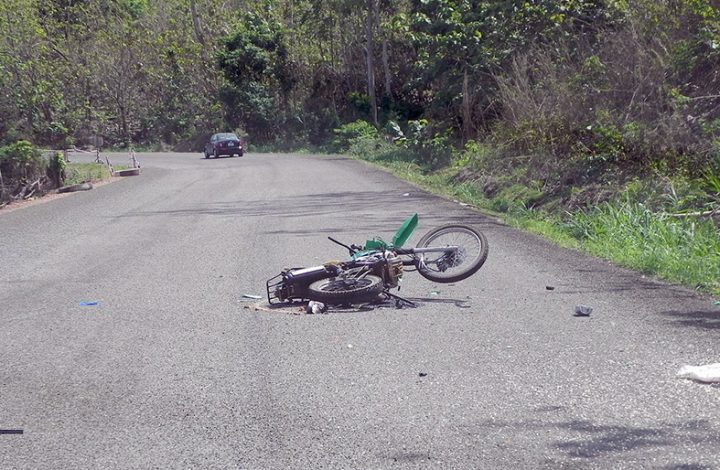 Proprietário de boi que causou acidente fatal terá que indenizar família em mais de R$ 200 mil