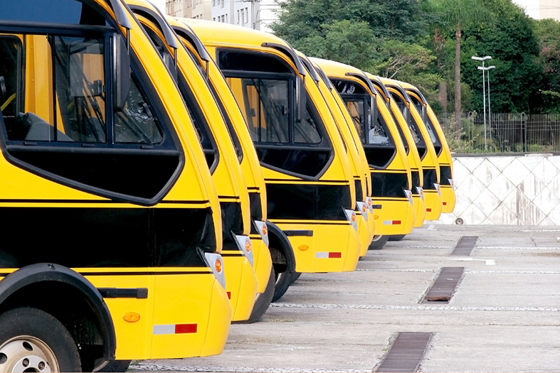 6 ônibus de cor amarela com detalhes em preto perfilados e estacionados.