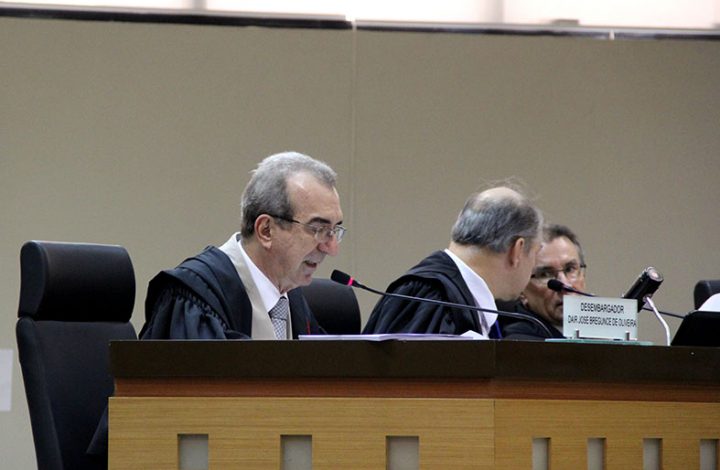 Pleno do TJES declara inconstitucional lei que proíbe o plantio de eucaliptos na Serra