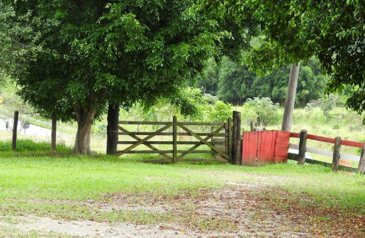 Justiça condena proprietária de terreno por impedir acesso a estrada