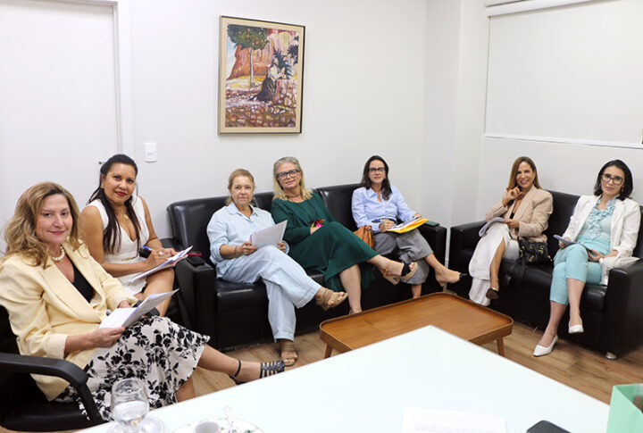 Comitê de Incentivo à participação feminina e à equidade de gênero abre os trabalhos para o primeiro plano de ação