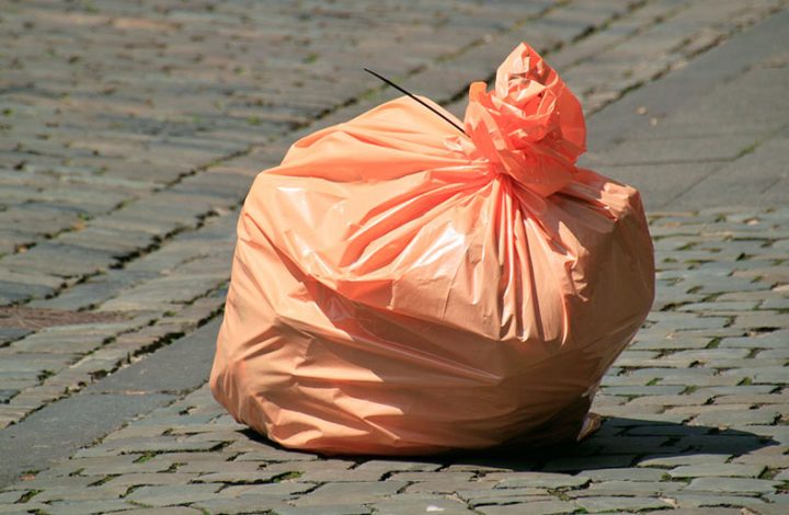 Mulher será indenizada por vizinho que jogava lixo no quintal da sua casa