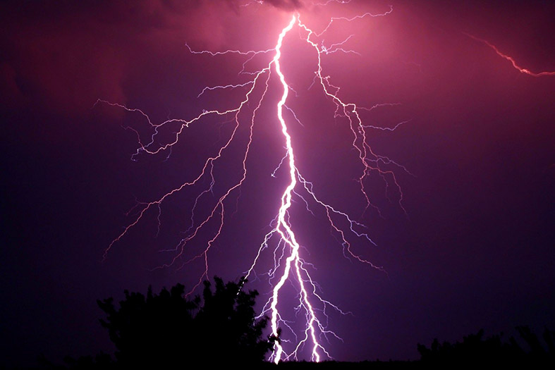 Céu noturno com tons violetas onde um trovão se destaca ao atingir árvores.