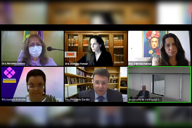 captura de tela dos participantes do webinário